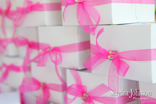 Best Anna Maria Island Wedding photographer - Sandra Johnson (SJFoto.com)